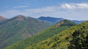 Montaigu_26_08-91