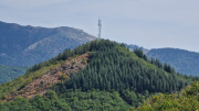 Montaigu_26_08-92