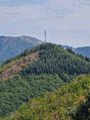 Montaigu_26_08-93