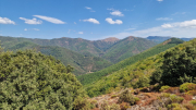 Montaigu_26_08-94
