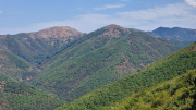 Montaigu_26_08-95