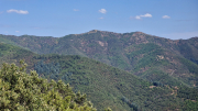 Montaigu_26_08-96