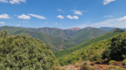 Montaigu_26_08-97