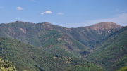 Montaigu_26_08-98