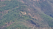 Montaigu_26_08-99