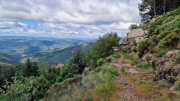 Orgon_26_06-11