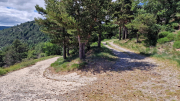 Orgon_26_06-114