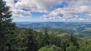 Orgon_26_06-12