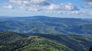 Orgon_26_06-13