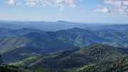 Orgon_26_06-15