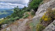 Orgon_26_06-20