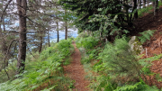 Orgon_26_06-21