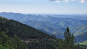 Orgon_26_06-22