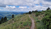 Orgon_26_06-23
