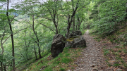 Orgon_26_06-24