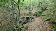 Orgon_26_06-26