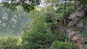 Orgon_26_06-28