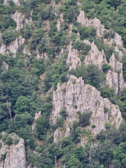 Orgon_26_06-29