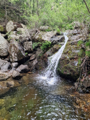 Orgon_26_06-31