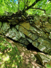 Orgon_26_06-32