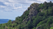 Orgon_26_06-36