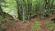 Orgon_26_06-38