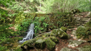 Orgon_26_06-39