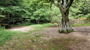 Orgon_26_06-40