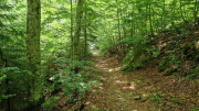 Orgon_26_06-43