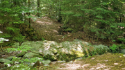 Orgon_26_06-44