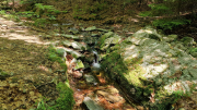Orgon_26_06-45