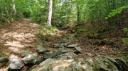 Orgon_26_06-46
