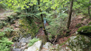 Orgon_26_06-47