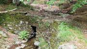 Orgon_26_06-48