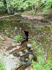 Orgon_26_06-49