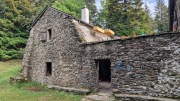 Orgon_26_06-5