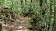 Orgon_26_06-51