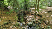 Orgon_26_06-52
