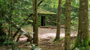 Orgon_26_06-53