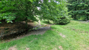 Orgon_26_06-55