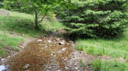 Orgon_26_06-56
