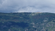 Orgon_26_06-57