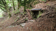 Orgon_26_06-6