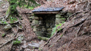Orgon_26_06-7