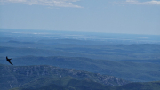 Orgon_26_06-72