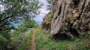 Orgon_26_06-8