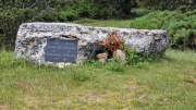Orgon_26_06-80