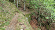 Orgon_26_06-83