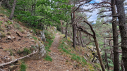 Orgon_26_06-84