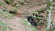 Orgon_26_06-88